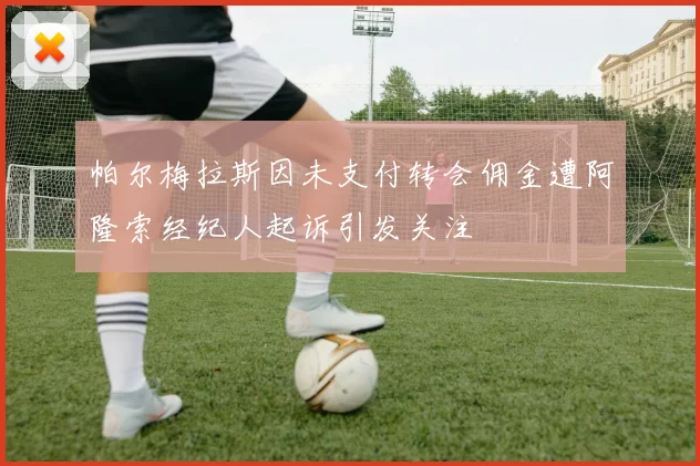 帕尔梅拉斯因未支付转会佣金遭阿隆索经纪人起诉引发关注